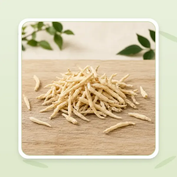 Safed Musli